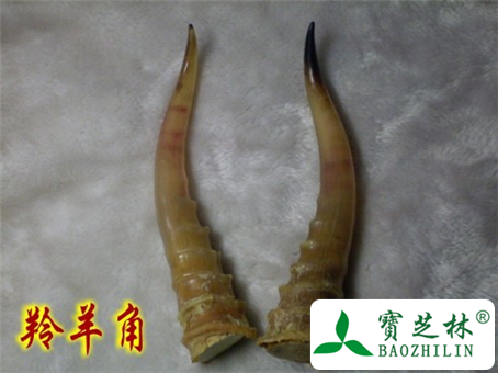 羚羊角的功效与作用