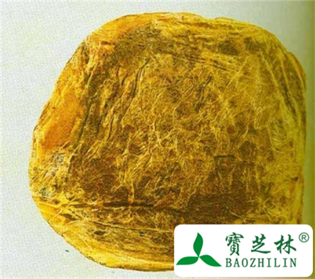 冰片简介图片和辨别方法