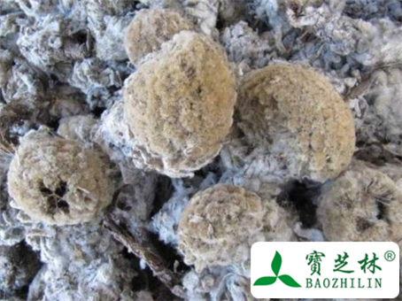 雪莲花的功效与作用
