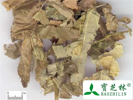淫羊藿的功效与作用