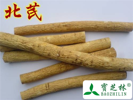 北芪的功效与作用