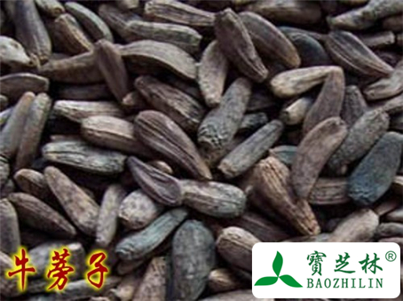 牛蒡子的功效与作用