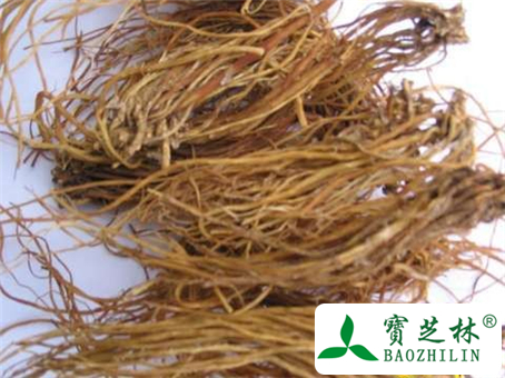 龙胆草的功效与作用