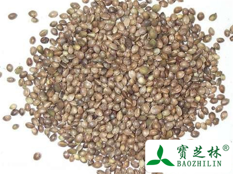 火麻仁是什么及火麻仁怎么吃