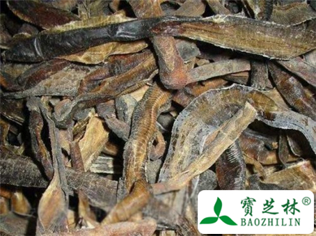 地龙的中医验方和用法