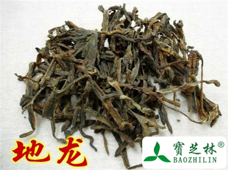 地龙的功效与作用