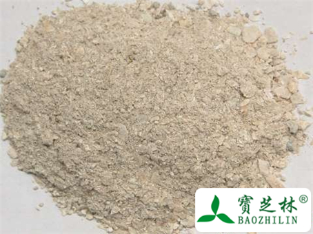 牡蛎图片及鉴别方法