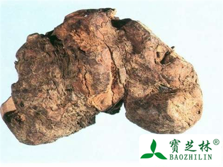 土茯苓图片及鉴别方法