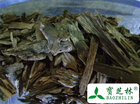 沉香木是什么?该怎么鉴别