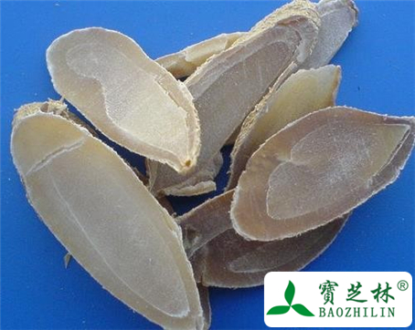 郁金的功效与作用及食用方法图片