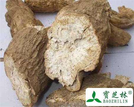 粉防己的功效与作用及食用方法图片