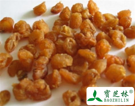 龙眼肉的功效与作用及食用方法图片