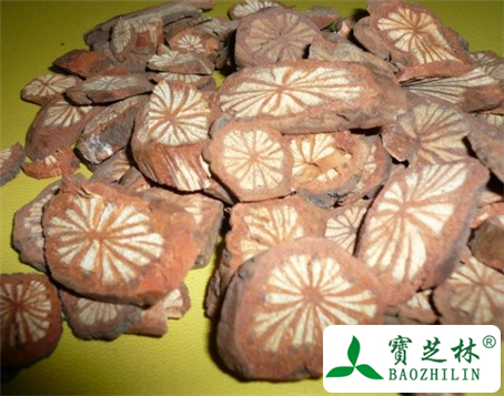 大血藤的功效与作用及食用方法图片