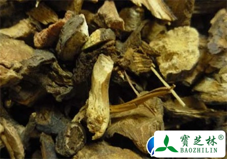 地榆的功效与作用及食用方法图片