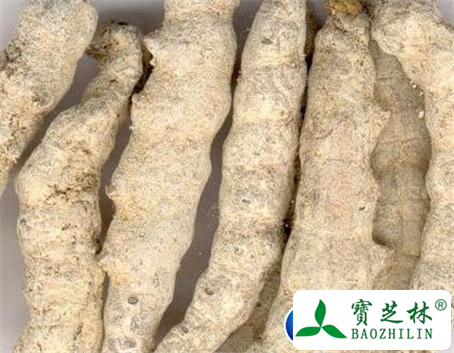 僵蚕的功效与作用及食用方法图片