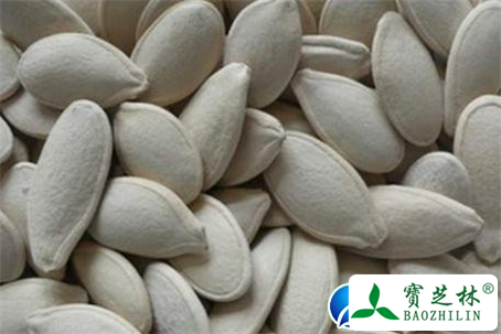 南瓜子的功效与作用及食用方法图片
