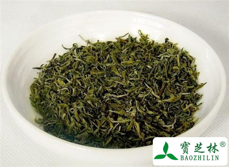 苦丁茶的功效与作用及食用方法图片