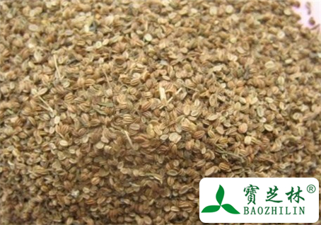 蛇床子的功效与作用及食用方法图片