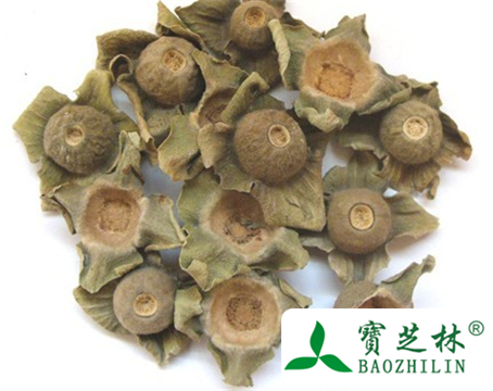 柿蒂的功效与作用及食用方法图片