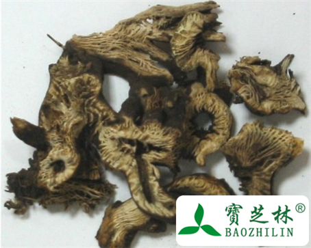 升麻的功效与作用及食用方法图片