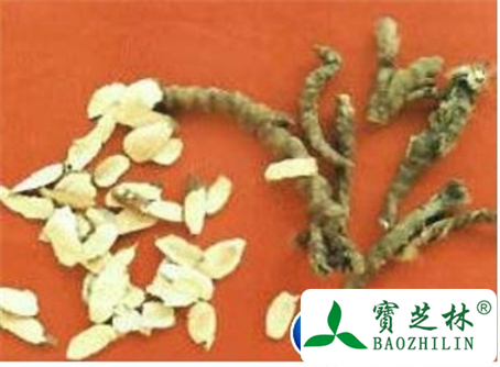 石菖蒲的功效与作用及食用方法图片
