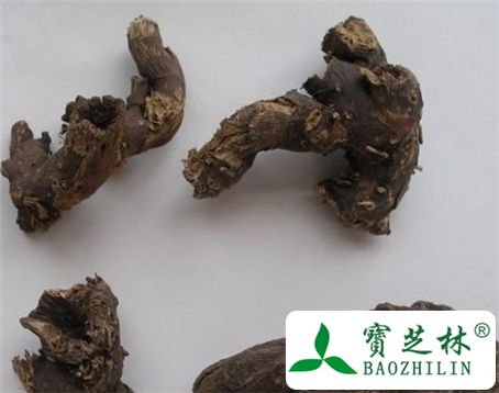 大三叶升麻的功效与作用及食用方法图片