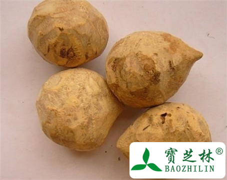 三棱的功效与作用及食用方法图片