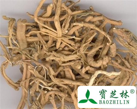 土远志的功效与作用及食用方法图片