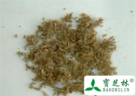 茵陈蒿的功效与作用及食用方法图片