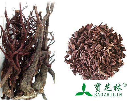 新疆紫草的功效与作用及食用方法图片