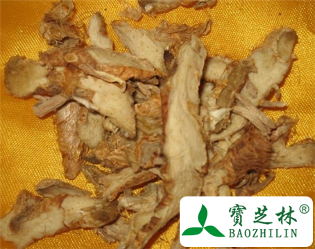 知母的功效与作用及食用方法图片