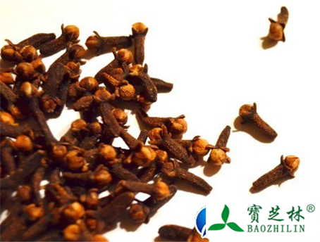 小丁香的功效与作用及食用方法图片