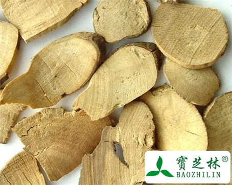 乌药的功效与作用及食用方法图片