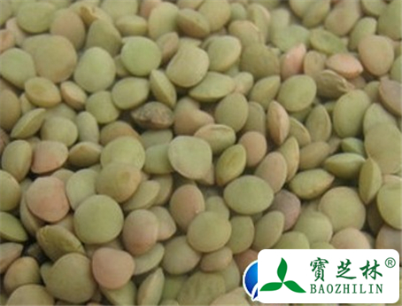 小扁豆的功效与作用及食用方法图片