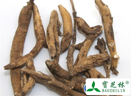 小草乌的功效与作用及食用方法图片