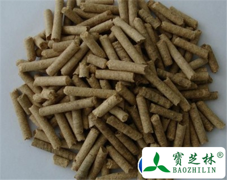 小麦麸的功效与作用及食用方法图片