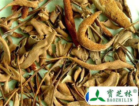 小石韦的功效与作用及食用方法图片
