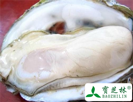 土牡蛎的功效与作用及食用方法图片
