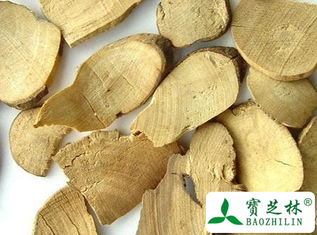 乌药叶的功效与作用及食用方法图片