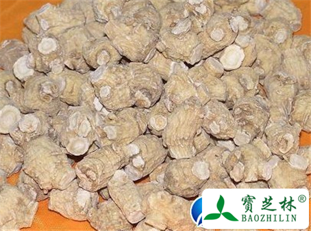 太白参的功效与作用及食用方法图片