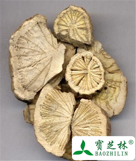 广防己的功效与作用及食用方法图片