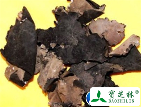 石耳的功效与作用及食用方法图片