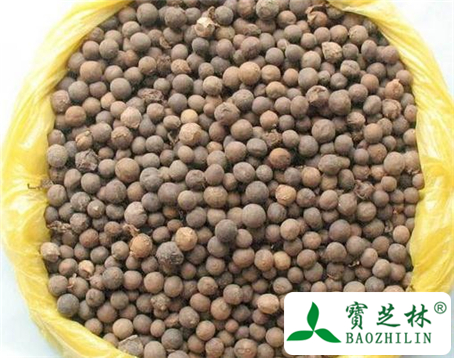 白芥子的功效与作用及食用方法图片