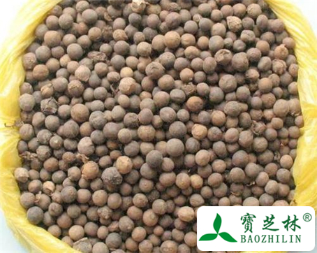 龙葵子的功效与作用及食用方法图片