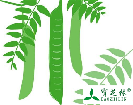 水皂角的功效与作用及食用方法图片