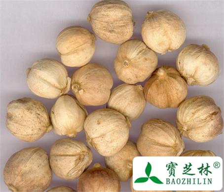 白豆蔻壳的功效与作用及食用方法图片