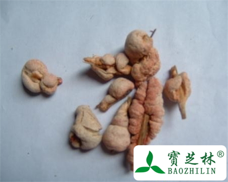 竹黄的功效与作用及食用方法图片