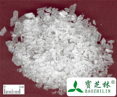 冰片的功效与作用及食用方法图片