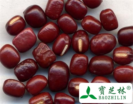 赤小豆花的功效与作用及食用方法图片