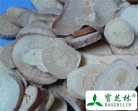 赤芍药的功效与作用及食用方法图片